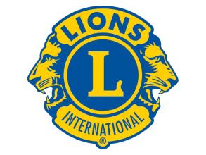 Lions-Logo – zur Startseite der Stiftung